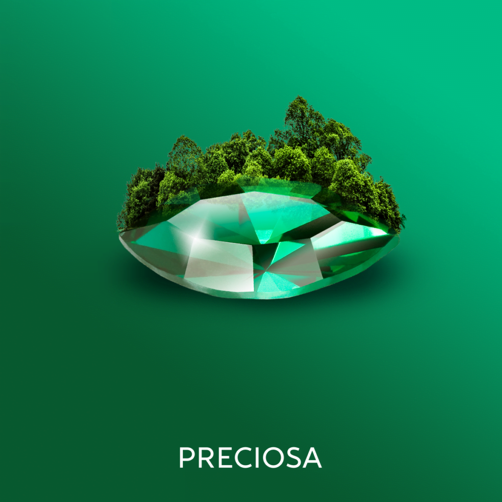 Jak jsme vyšperkovali sociální sítě značky preciosa
